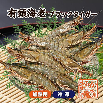[まるか水産] 冷凍 有頭ブラックタイガー(15尾) bbq-bt0305-f