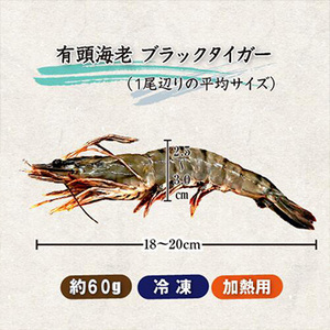 [まるか水産] 冷凍 有頭ブラックタイガー(15尾) bbq-bt0305-f