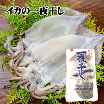 [まるか水産] イカ一夜干し 2枚入(冷凍) ikahomono-200