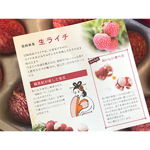 [宮崎県産] 生ライチ