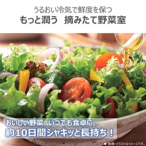 【無料長期保証1+5年付き】2025年05月26日発売予定！予約受付中東芝 GR-Y41GH(WU) 冷蔵庫 5ドア冷凍冷蔵庫 (411L・右開き) マットホワイト