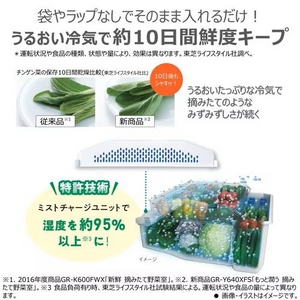 【無料長期保証1+5年付き】2025年05月26日発売予定！予約受付中東芝 GR-Y41GH(WU) 冷蔵庫 5ドア冷凍冷蔵庫 (411L・右開き) マットホワイト