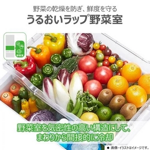 2025年05月06日発売予定！予約受付中東芝 GR-Y470GSHL(EC) 冷蔵庫 5ドア冷凍冷蔵庫 (465L・左開き) サテンゴールド