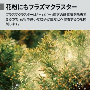 シャープ FU-T40 空気清浄機 プラズマクラスター7000搭載 グレー