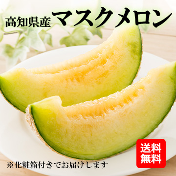 【6月下旬以降のお届け予定】[高知県産]マスクメロン