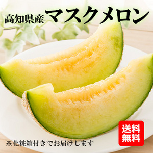 【6月下旬以降のお届け予定】[高知県産]マスクメロン