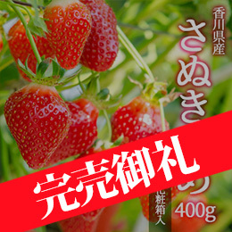 [香川県産]さぬきひめ 400g 化粧箱入り