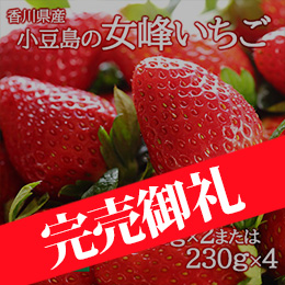 [香川県産]小豆島の女峰いちご