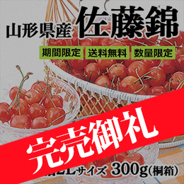 ■山形県産 さくらんぼ「佐藤錦」300g(300g×1) 並び 桐箱 特秀品 2L