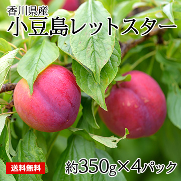 [香川県産]小豆島レットスター(すもも)
