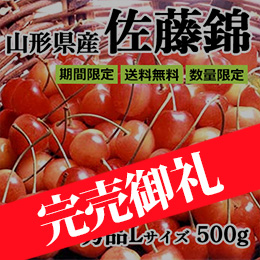 ■山形県産 さくらんぼ「佐藤錦」500g(500g×1) バラパック詰め 秀品L