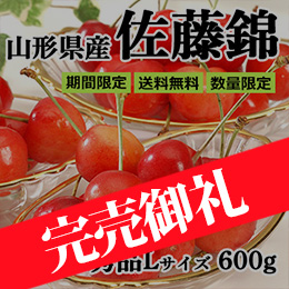 ■山形県産 さくらんぼ「佐藤錦」600g(300g×2) バラパック詰め 秀品L