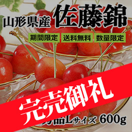 ■山形県産 さくらんぼ「佐藤錦」600g(300g×2) バラパック詰め 秀品L