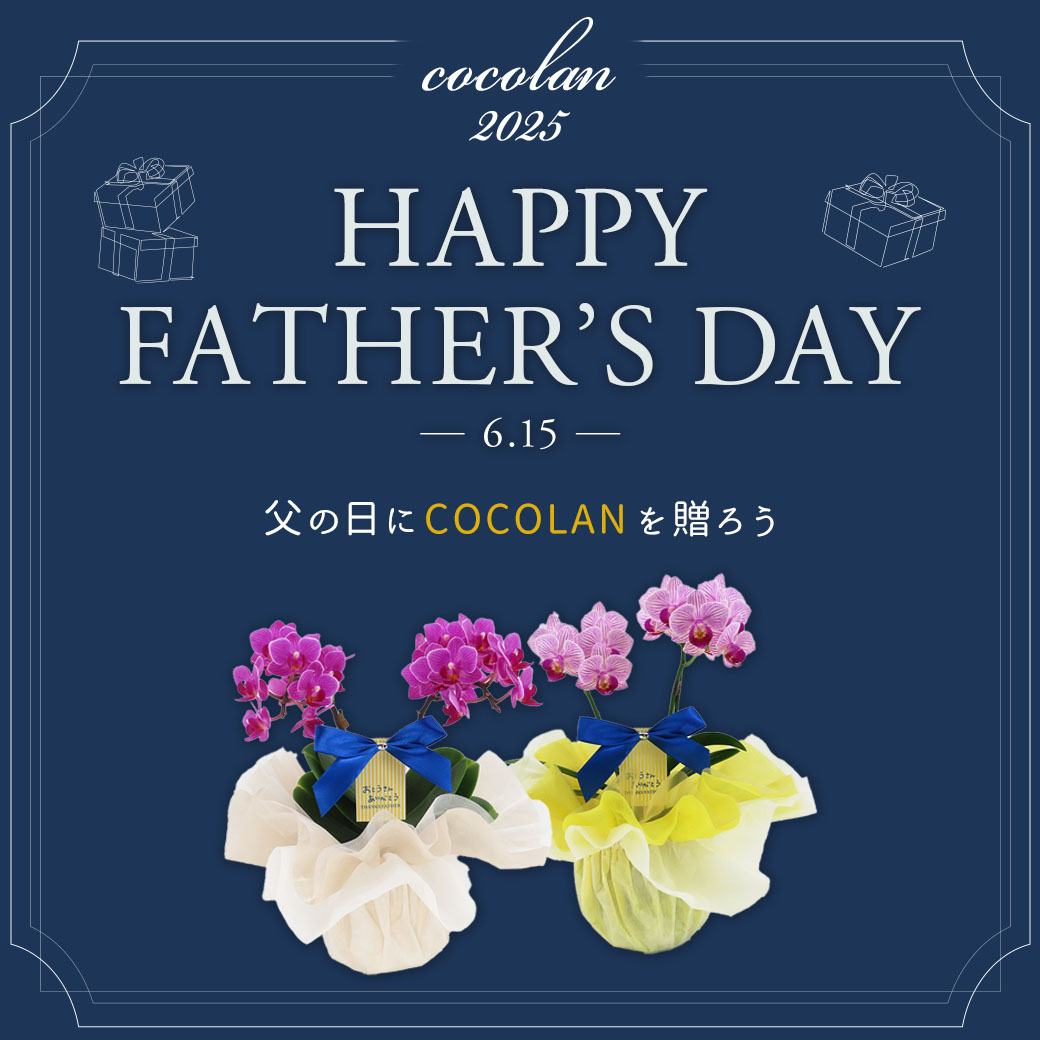 COCOLAN SHOP