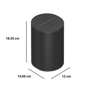 [Sonos] Era 100