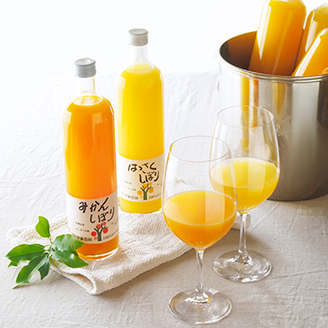 ★和歌山 「伊藤農園」 3種の柑橘ジュース飲み比べセット
