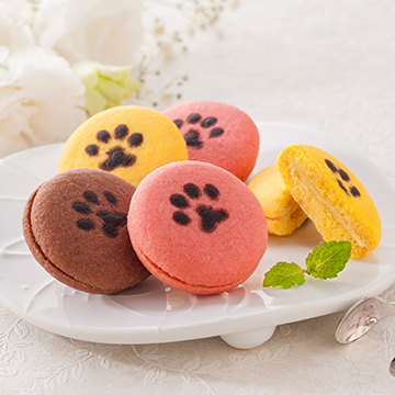 ★イーペルの猫祭り サンドクッキー