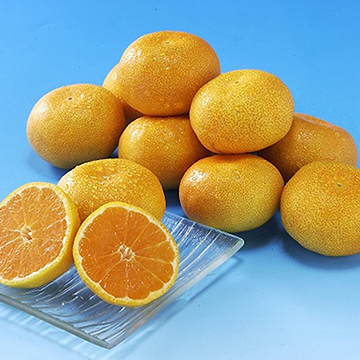 ★■佐賀 温室みかん 計1kg
