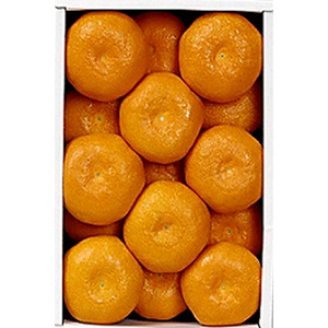 ★■佐賀 温室みかん 計1kg