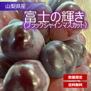 [山梨県産]富士の輝き(ブラックシャインマスカット）　