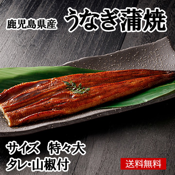鹿児島県産うなぎ蒲焼 特々大(220g/1尾) タレ・山椒付