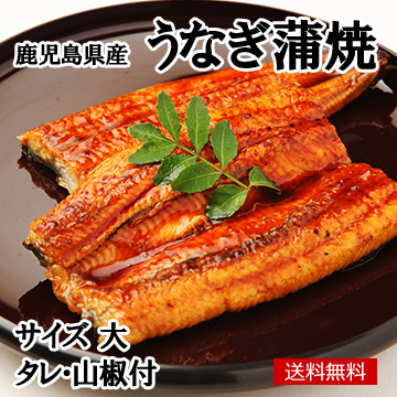 鹿児島県産うなぎ蒲焼 大(165g/1尾) タレ・山椒付