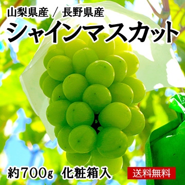 [山梨・長野県産]シャインマスカット 約700g 1房 化粧箱入