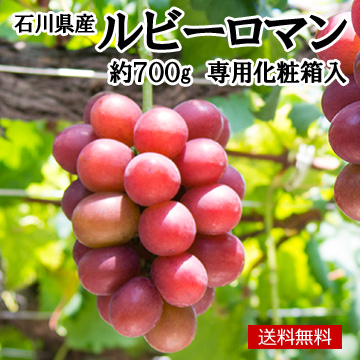[石川県産]ルビーロマン 約700g1房 専用化粧箱入