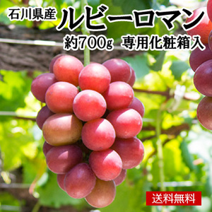 [石川県産]ルビーロマン 約700g1房 専用化粧箱入