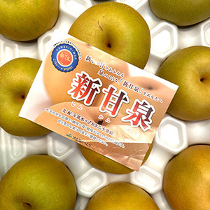 [鳥取県産]新甘泉(梨)