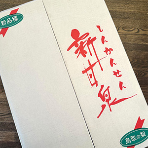 [鳥取県産]新甘泉(梨)