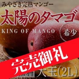 [宮崎産]太陽のタマゴ　約350g/玉