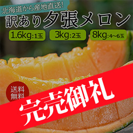 【7月上旬以降のお届け予定】北海道から産地直送！訳あり 夕張メロン 予約販売！