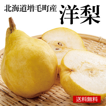 [北海道増毛町産]洋梨 約2.5kg