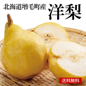 [北海道増毛町産]洋梨 約2.5kg