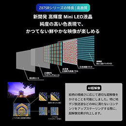 REGZA 65Z875R 65V型 タイムシフトマシン搭載4K MiniLED液晶テレビ Z875Rシリーズ