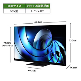 REGZA 55Z875R 55V型 タイムシフトマシン搭載4K MiniLED液晶テレビ Z875Rシリーズ