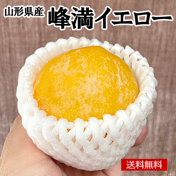 [山形県産]峰満イエロー(プラム)