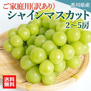 【9月上旬以降のお届け予定】[香川県産]ご家庭用(訳あり)シャインマスカット 約2kg