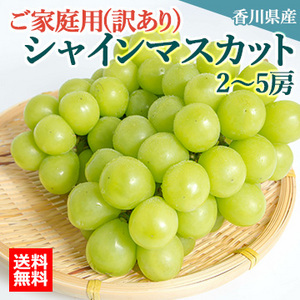 【9月上旬以降のお届け予定】[香川県産]ご家庭用(訳あり)シャインマスカット 約2kg
