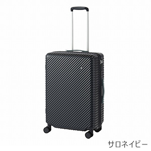 [ace.] ハント ココント (05514) 58L