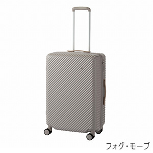 [ace.] ハント ココント (05514) 58L