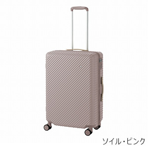 [ace.] ハント ココント (05514) 58L