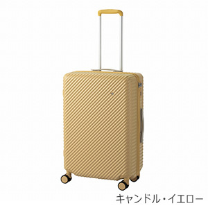[ace.] ハント ココント (05514) 58L