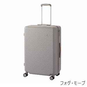 [ace.] ハント ココント (05515) 75L