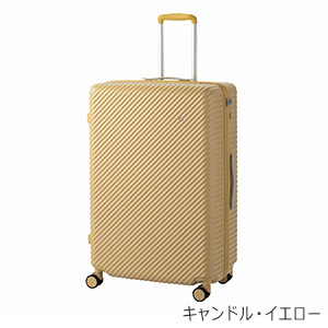 [ace.] ハント ココント (05516) 97L