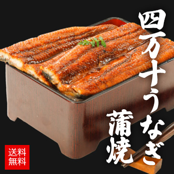 [高知県産] 四万十うなぎ 蒲焼
