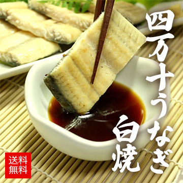 [高知県産] 四万十うなぎ 白焼