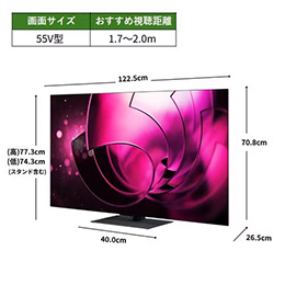 【無料長期保証1+5年付き】<ＲＥＧＺＡ>  REGZA 55X8900R 55V型有機ELテレビ X8900Rシリーズ 