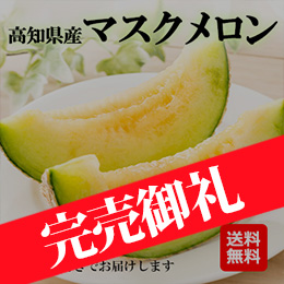 【6月下旬以降のお届け予定】[高知県産]マスクメロン